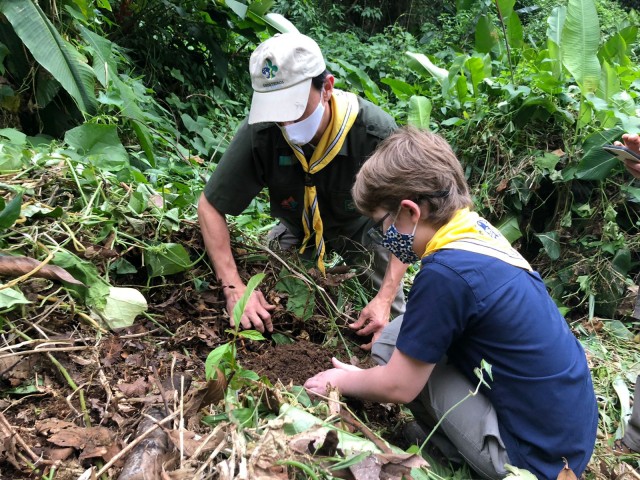 img/topsocie_blog/7291_post_6955.jpg img/topsocie_blog/7291_post_6955.jpg